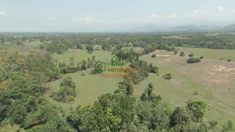 FINCA GANADERA EN VENTA SAN ALBERTO VIA SABANA DE TORRES