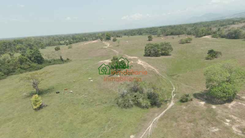 FINCA GANADERA EN VENTA SAN ALBERTO VIA SABANA DE TORRES