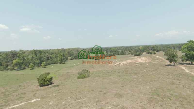 FINCA GANADERA EN VENTA SAN ALBERTO VIA SABANA DE TORRES