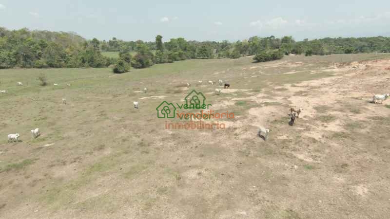 FINCA GANADERA EN VENTA SAN ALBERTO VIA SABANA DE TORRES