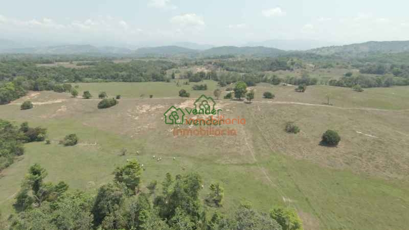 FINCA GANADERA EN VENTA SAN ALBERTO VIA SABANA DE TORRES