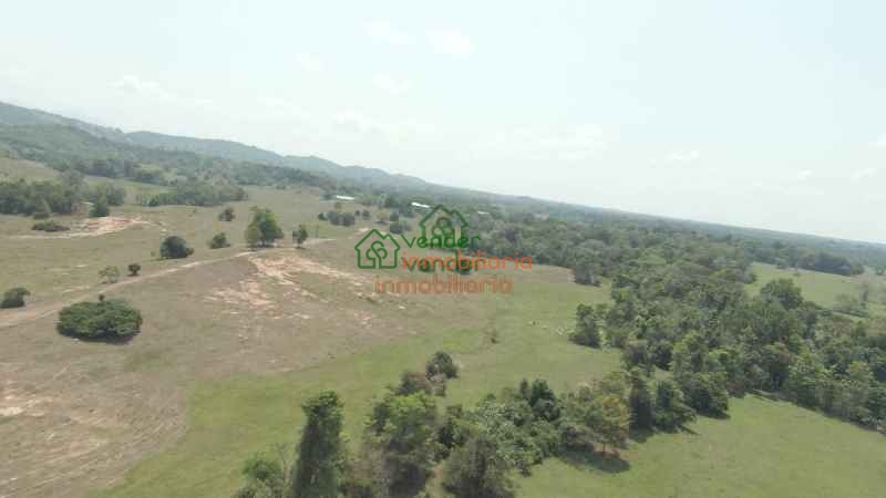 FINCA GANADERA EN VENTA SAN ALBERTO VIA SABANA DE TORRES