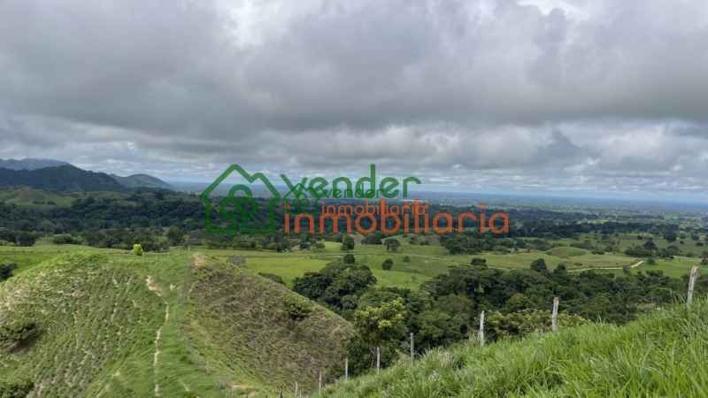 FINCA GANADERA EN VENTA SAN MARTIN CESAR