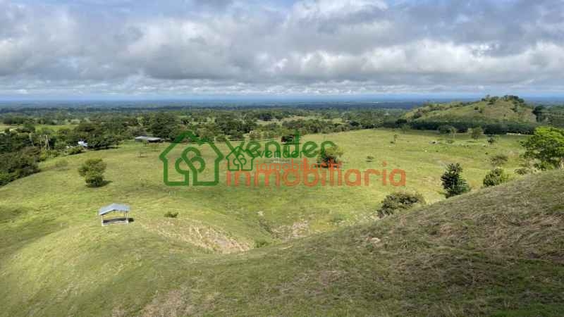 FINCA GANADERA EN VENTA SAN MARTIN CESAR