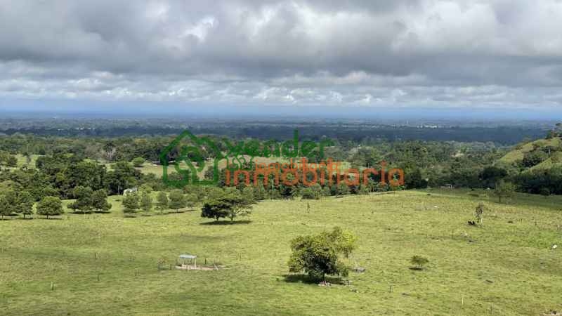 FINCA GANADERA EN VENTA SAN MARTIN CESAR