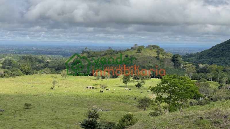 FINCA GANADERA EN VENTA SAN MARTIN CESAR