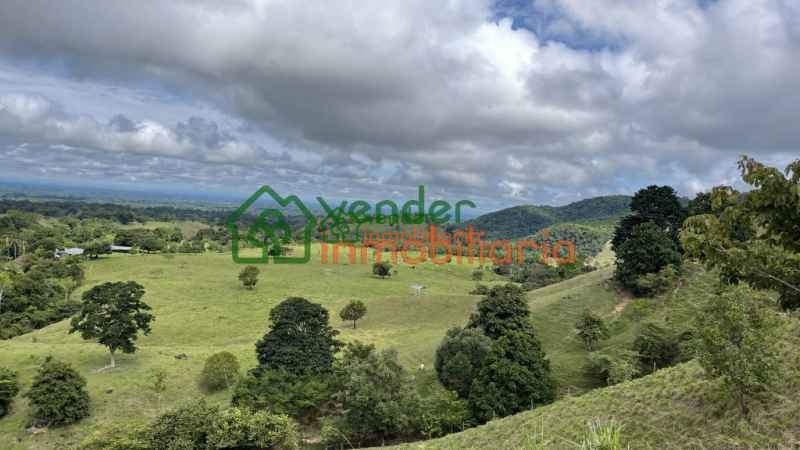 FINCA GANADERA EN VENTA SAN MARTIN CESAR