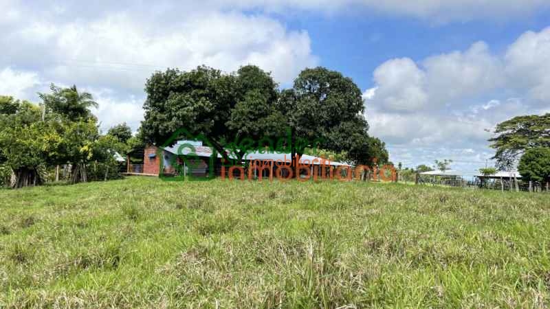 FINCA GANADERA EN VENTA SAN MARTIN CESAR