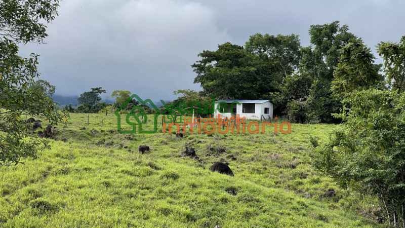 FINCA GANADERA EN VENTA SAN MARTIN CESAR