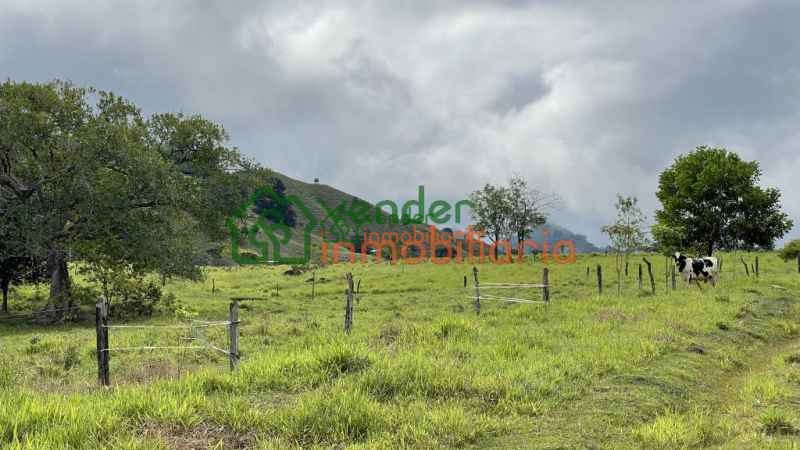 FINCA GANADERA EN VENTA SAN MARTIN CESAR