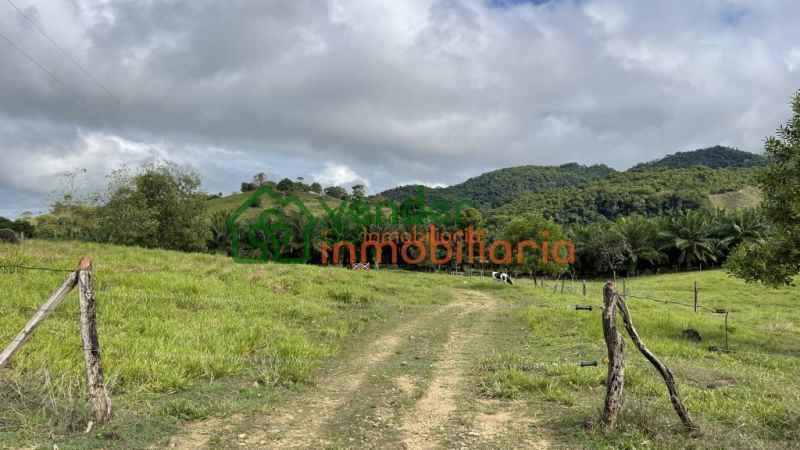 FINCA GANADERA EN VENTA SAN MARTIN CESAR