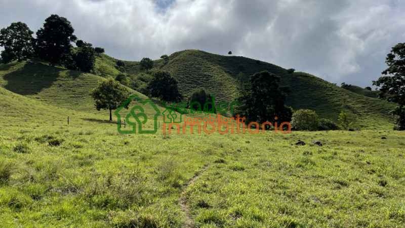 FINCA GANADERA EN VENTA SAN MARTIN CESAR