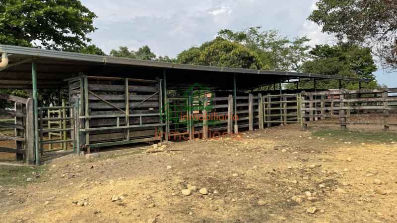 finca ganadera en venta sabana de torres