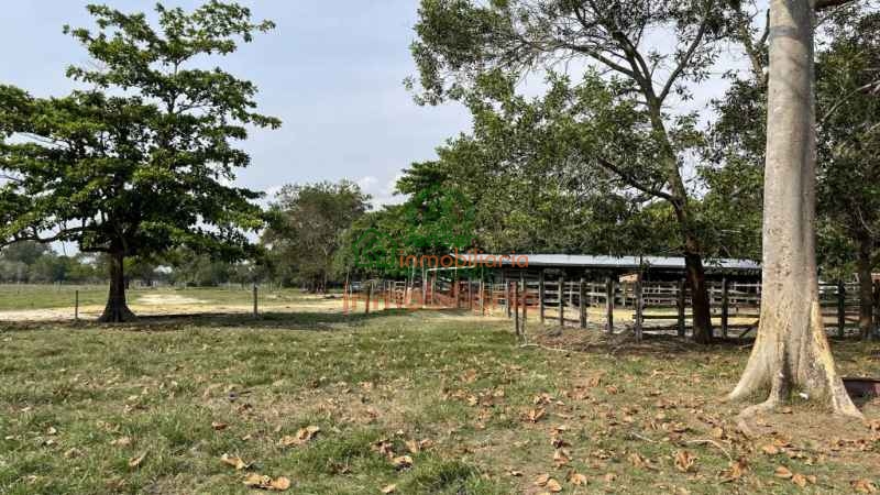 finca ganadera en venta sabana de torres