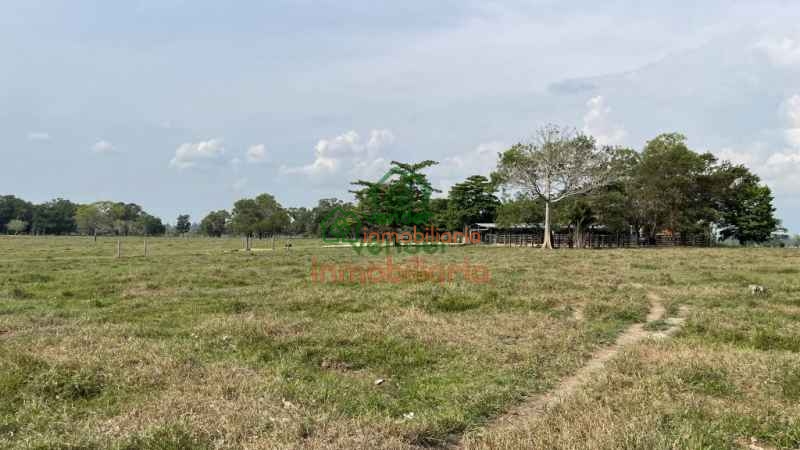 finca ganadera en venta sabana de torres