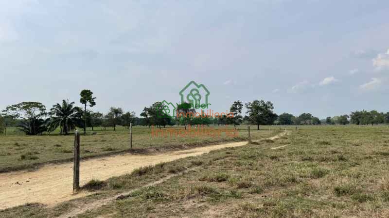 finca ganadera en venta sabana de torres