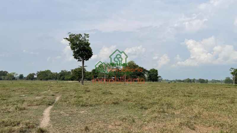 finca ganadera en venta sabana de torres