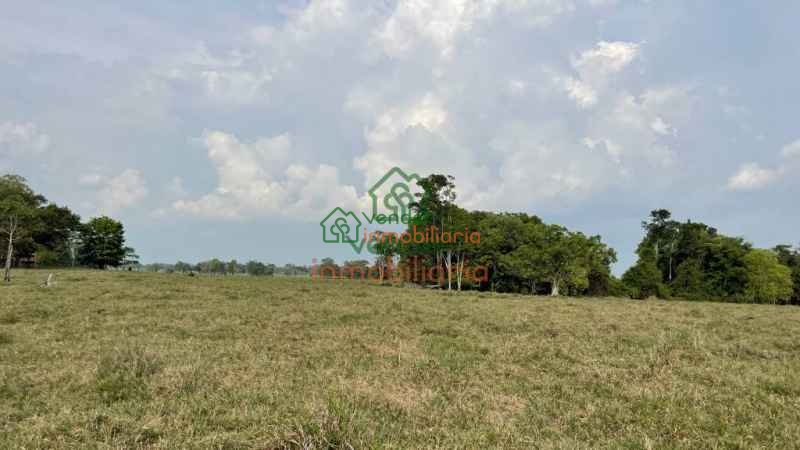 finca ganadera en venta sabana de torres