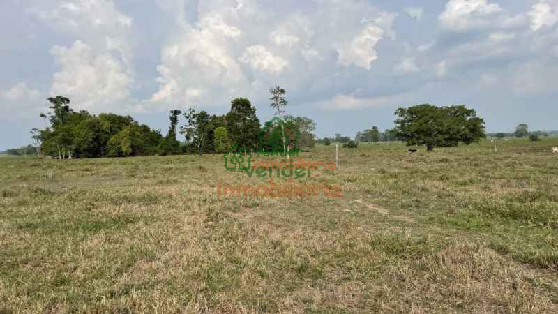 finca ganadera en venta sabana de torres