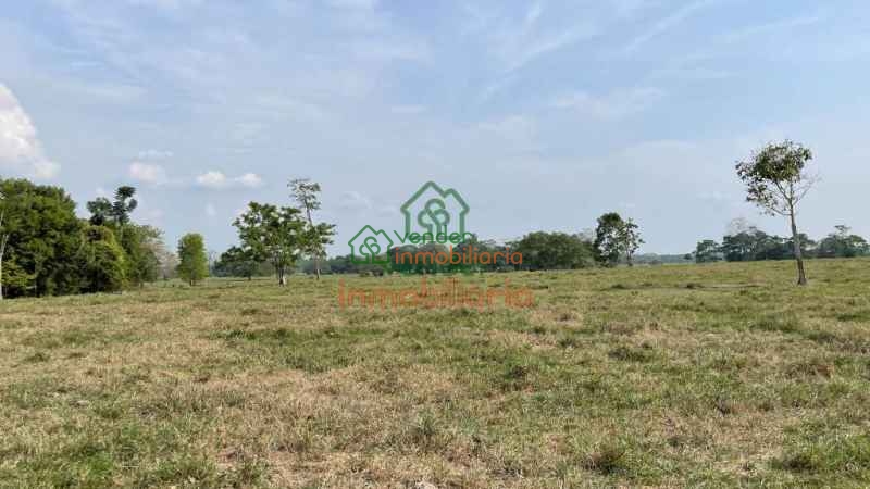 finca ganadera en venta sabana de torres