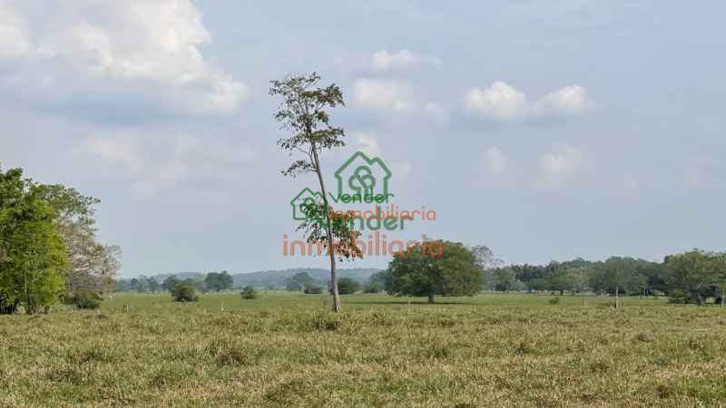 finca ganadera en venta sabana de torres