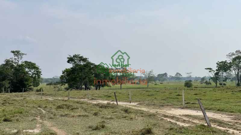 finca ganadera en venta sabana de torres