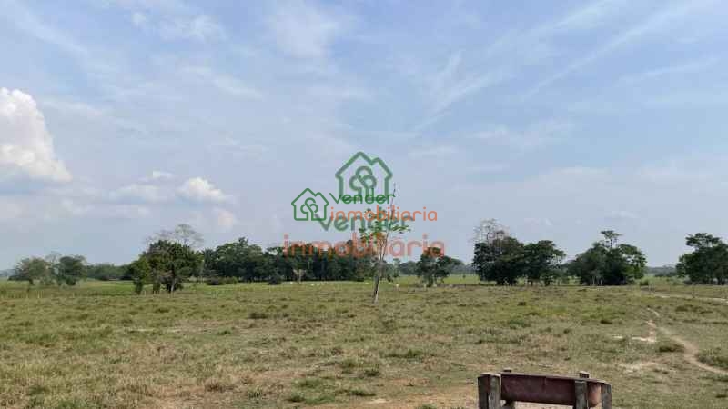 finca ganadera en venta sabana de torres