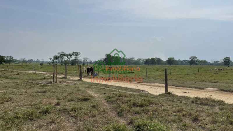 finca ganadera en venta sabana de torres