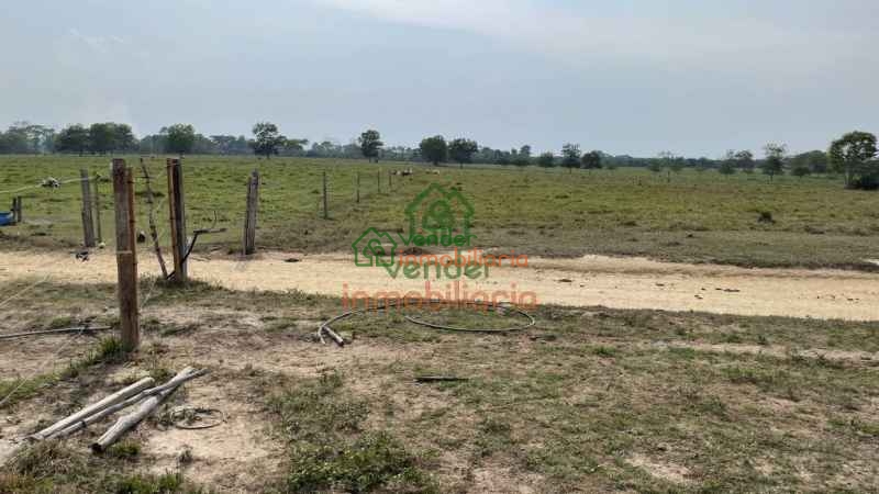 finca ganadera en venta sabana de torres