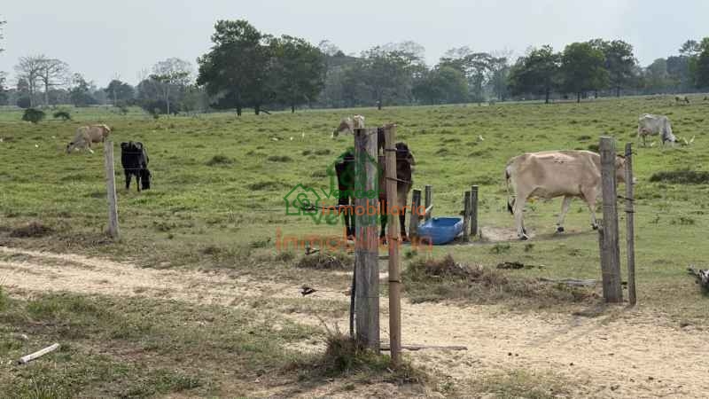 finca ganadera en venta sabana de torres