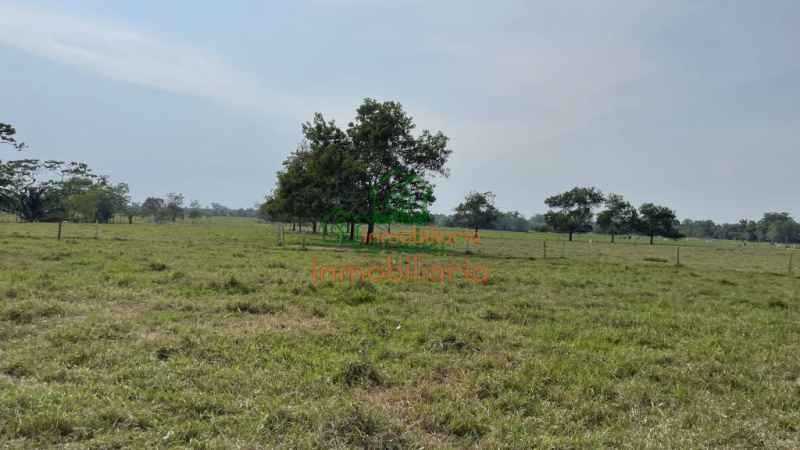 finca ganadera en venta sabana de torres