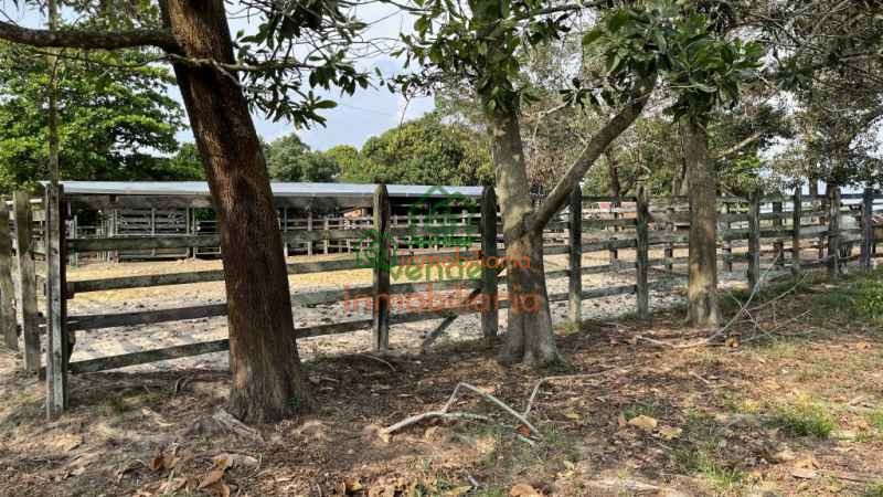 finca ganadera en venta sabana de torres