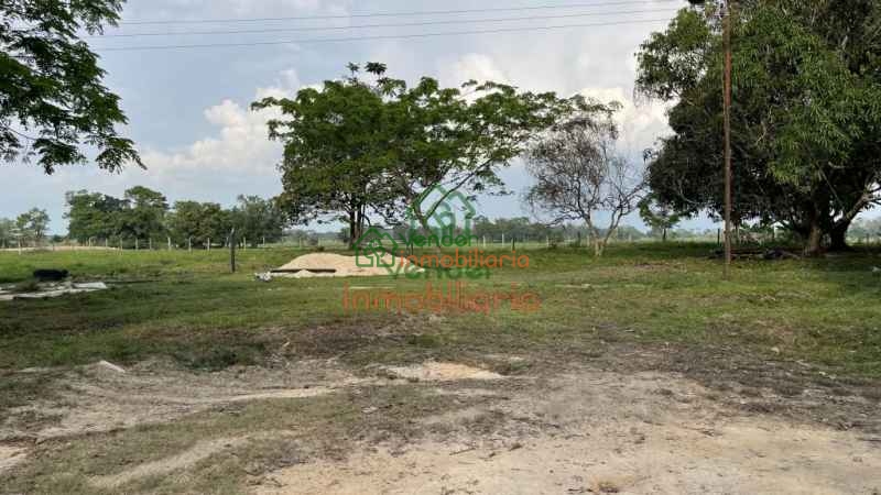 finca ganadera en venta sabana de torres