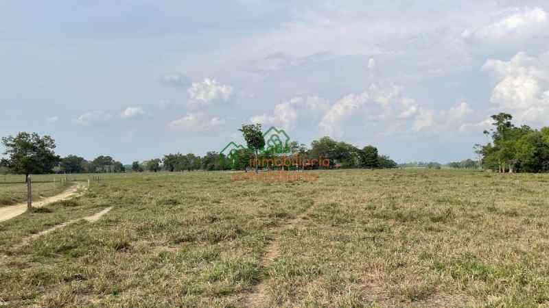 finca ganadera en venta sabana de torres