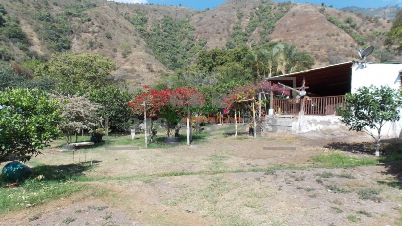 finca agricultora en venta tona via matanza