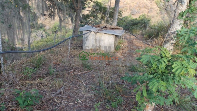 finca agricultora en venta tona via matanza