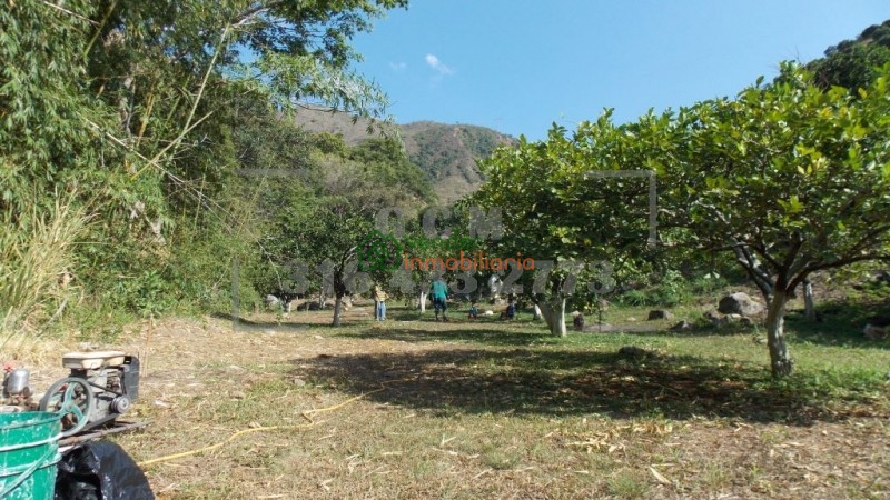 finca agricultora en venta tona via matanza