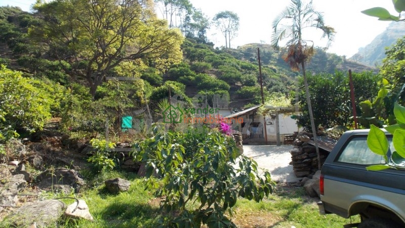 finca agricultora en venta tona via matanza