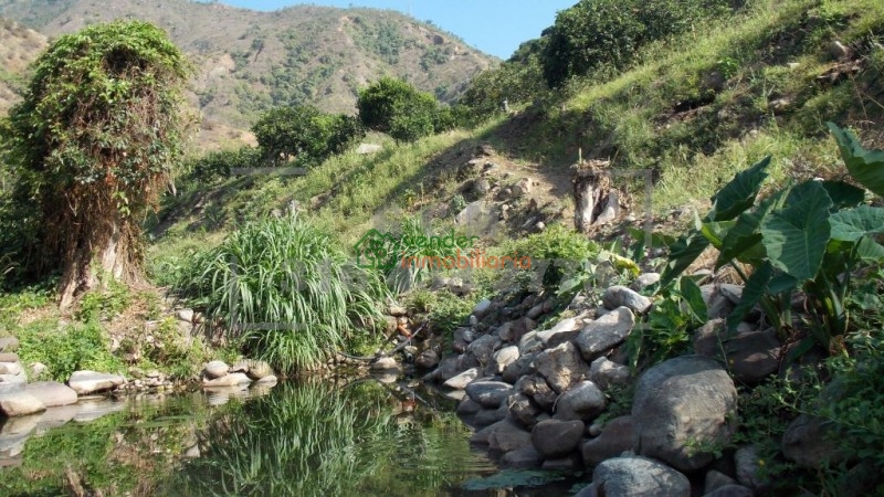 finca agricultora en venta tona via matanza