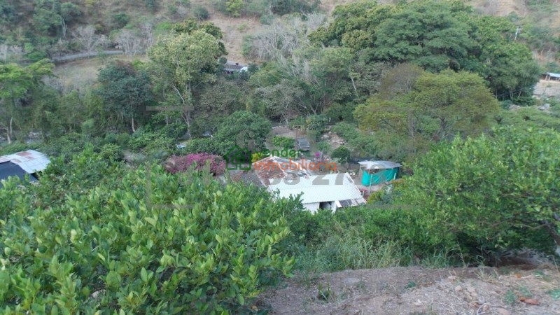 finca agricultora en venta tona via matanza