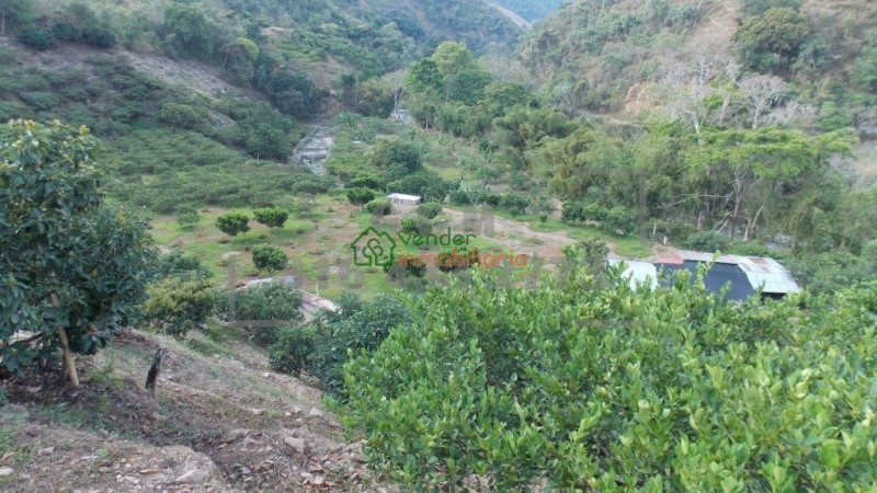 finca agricultora en venta tona via matanza