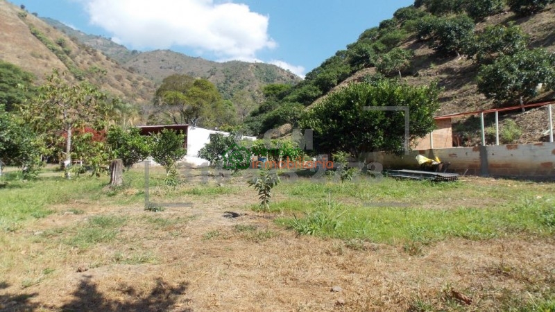 finca agricultora en venta tona via matanza